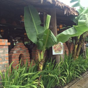 Khaing Khaing Kyaw Food Center